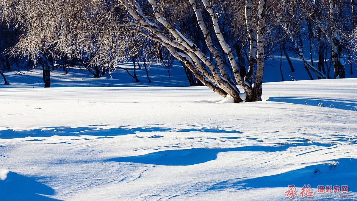 _MG_3987.jpg