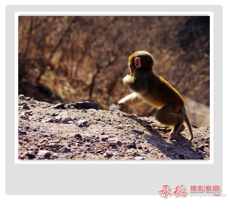 IMGP9816_副本.jpg