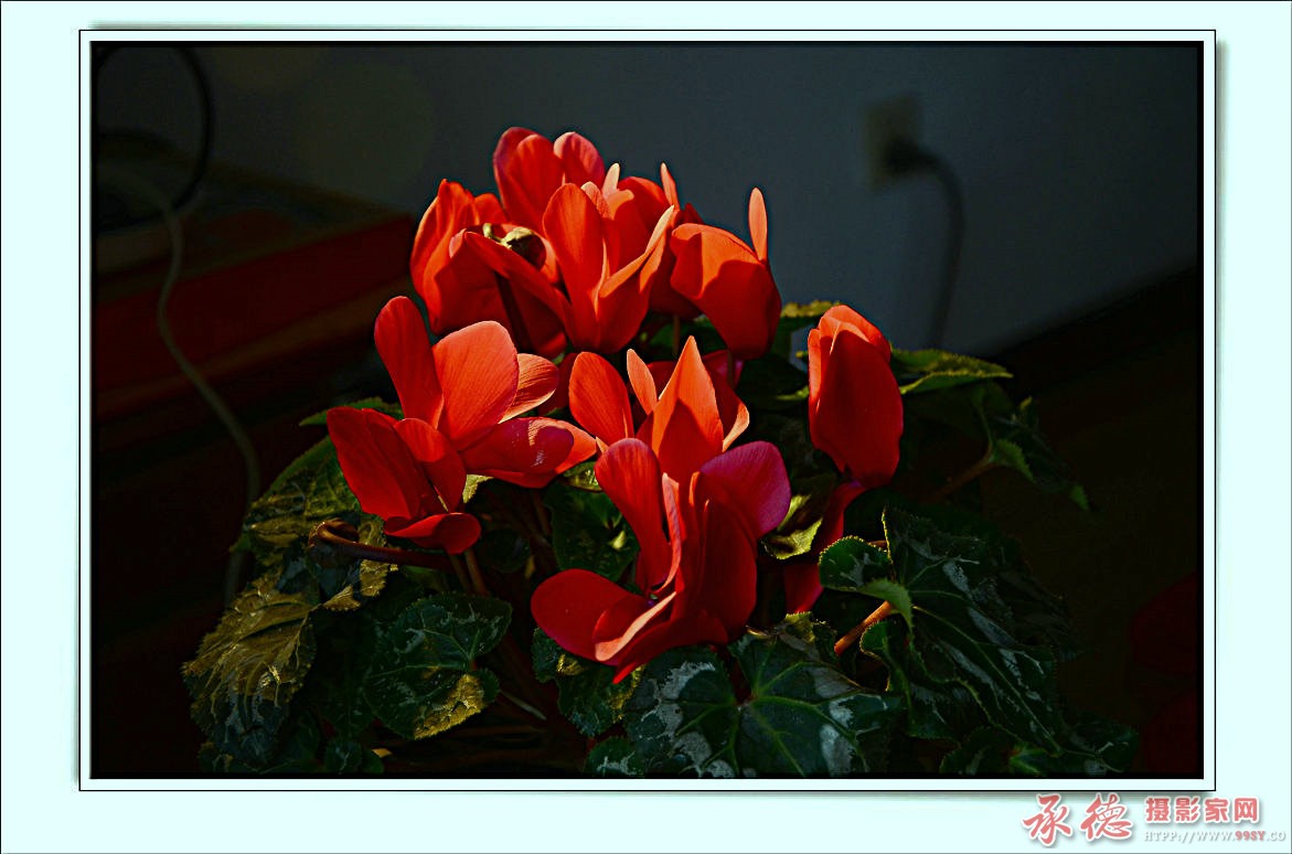 DSC_5786.jpg