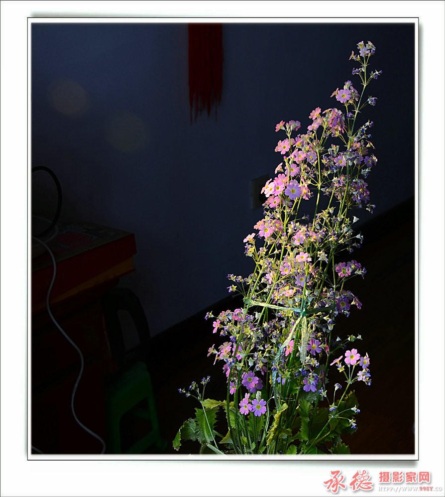 DSC_5798.jpg
