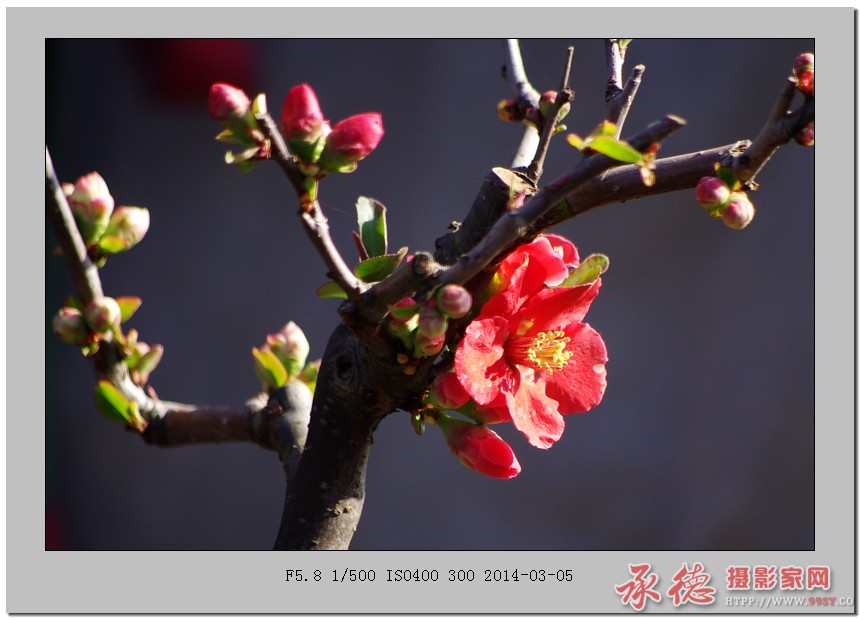 IMGP5090_光影_1.jpg