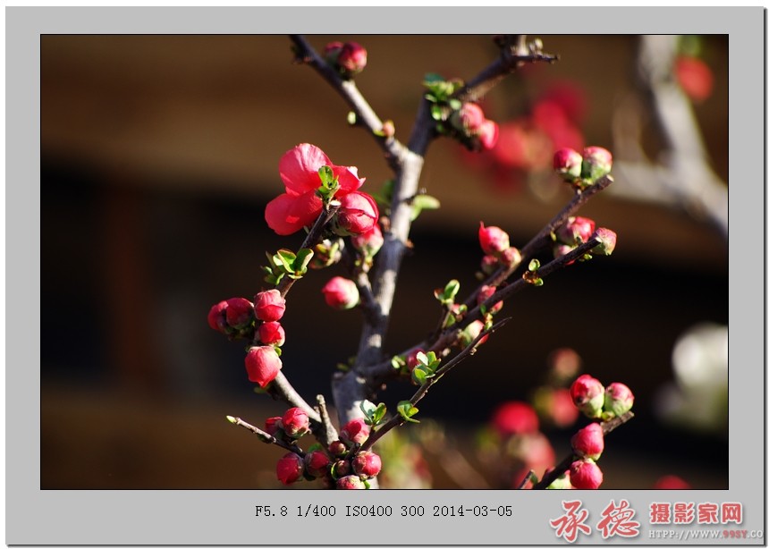 IMGP5092_光影_1.jpg