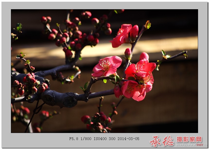 IMGP5097_光影_1.jpg