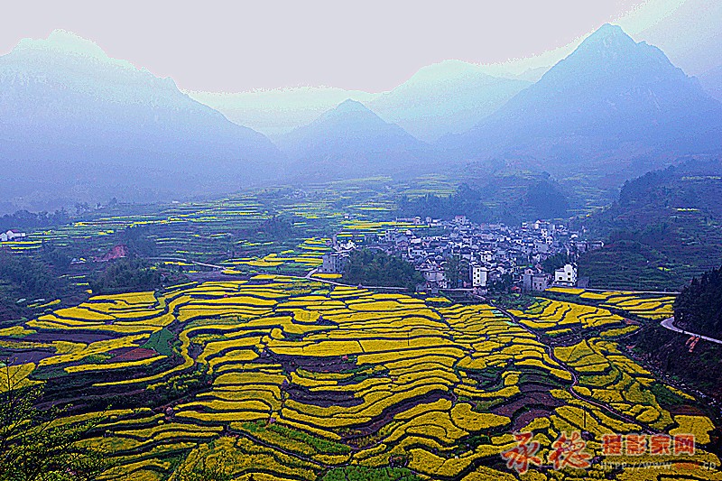 大地调色板.jpg