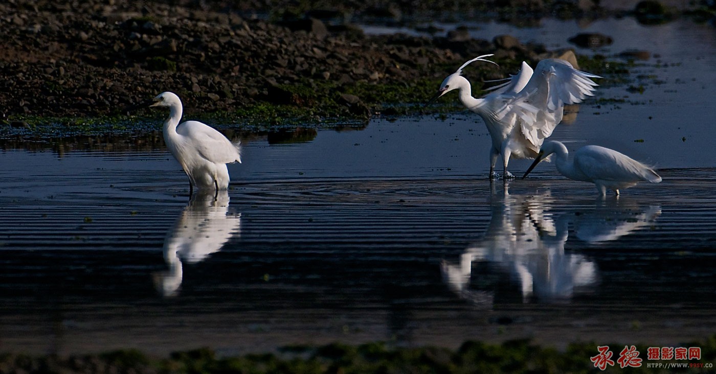 DSC_3322.jpg