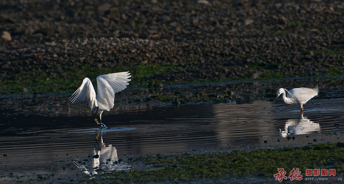 DSC_3092.jpg
