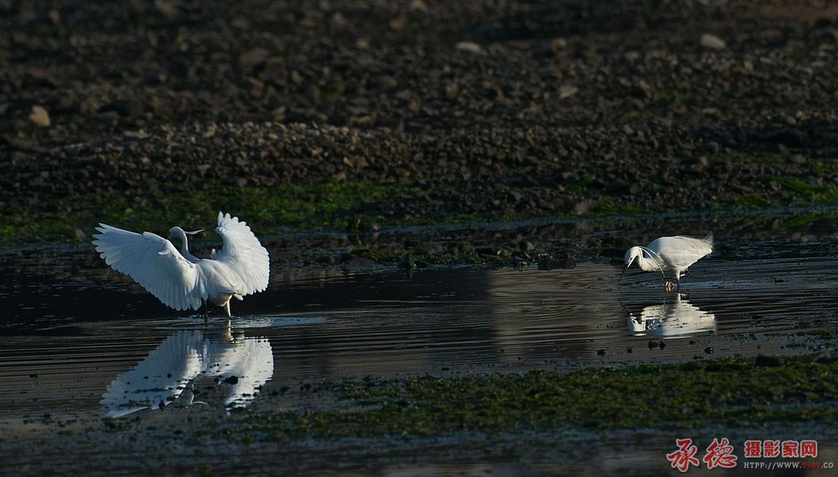 DSC_3093.jpg