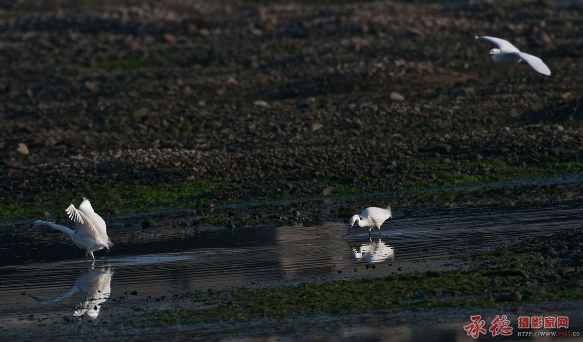 DSC_3095.jpg
