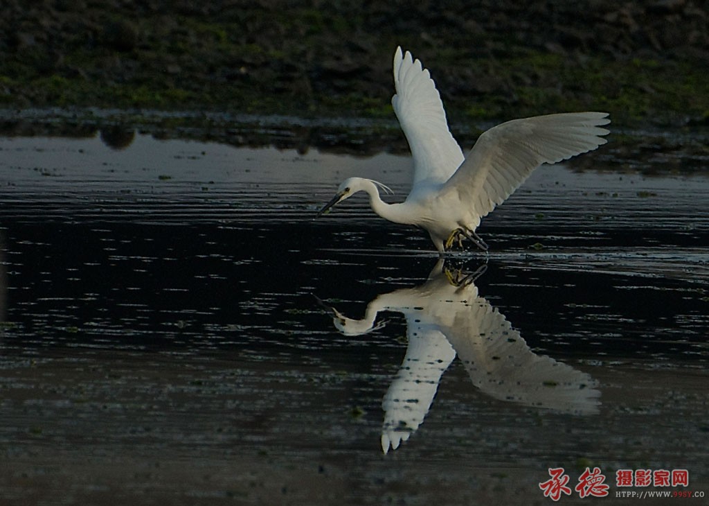 DSC_3056.jpg