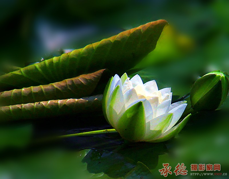 照片 8714_副本.jpg