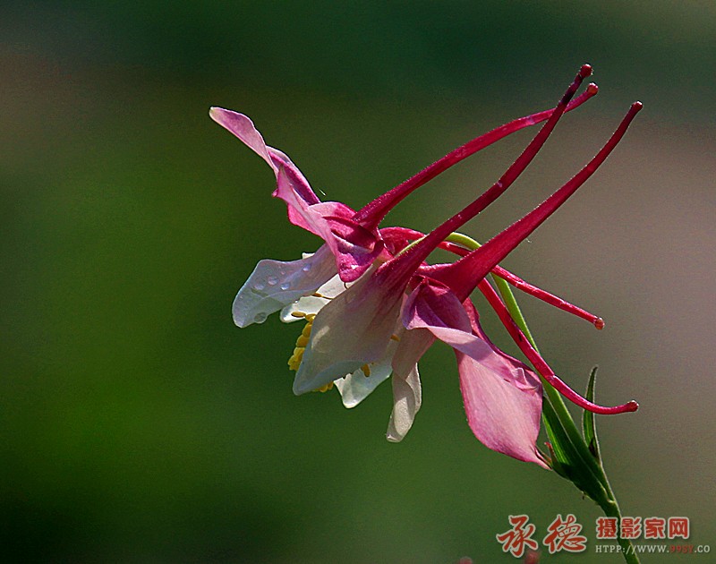 照片 8604_副本.jpg