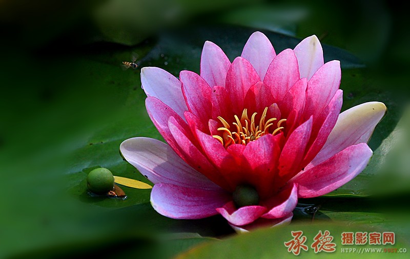 照片 8554_副本.jpg