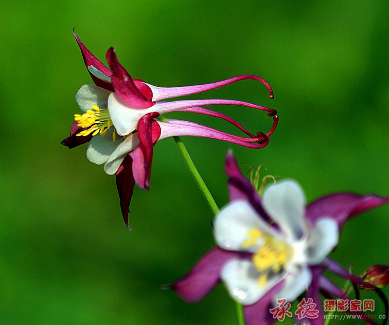 照片 8606_副本.jpg