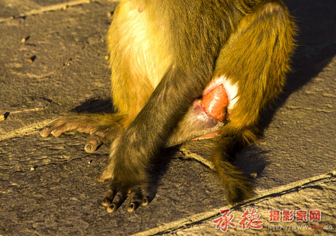 2 请帮帮 我好吗？.jpg