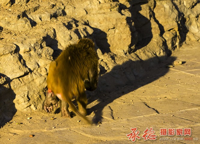 3 我的腿，疼的厉害！.jpg