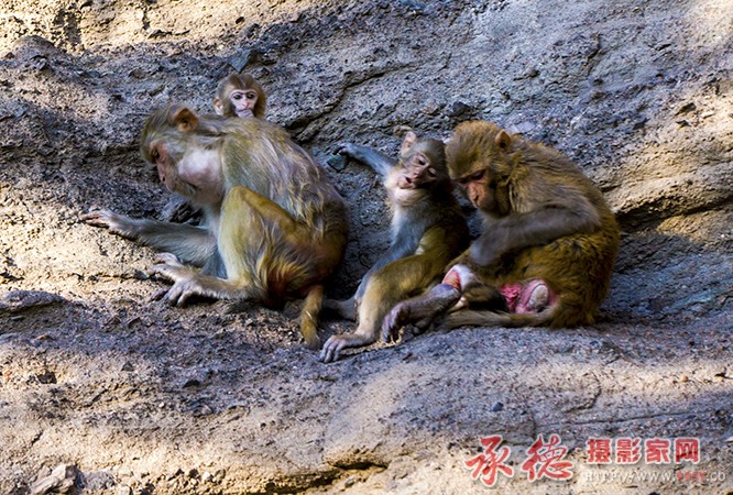 寻求爱心人士帮助  13832455666.jpg