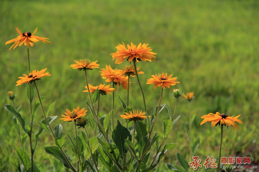 IMG_1624_副本.jpg