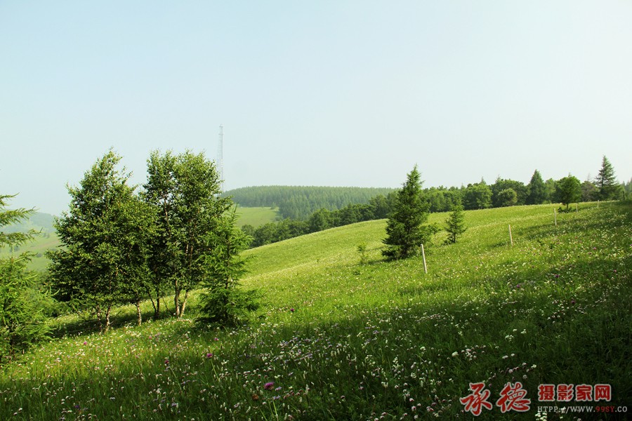 IMG_0263.jpg