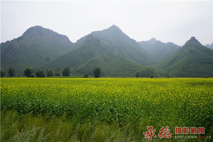 DSC01524_副本.jpg