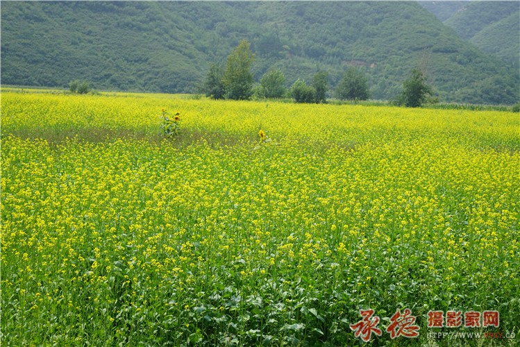 DSC01525_副本.jpg