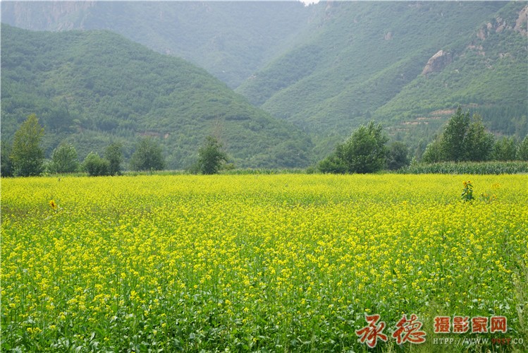 DSC01526_副本.jpg