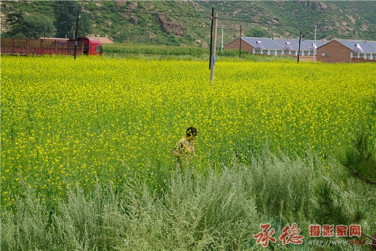 DSC01527_副本.jpg