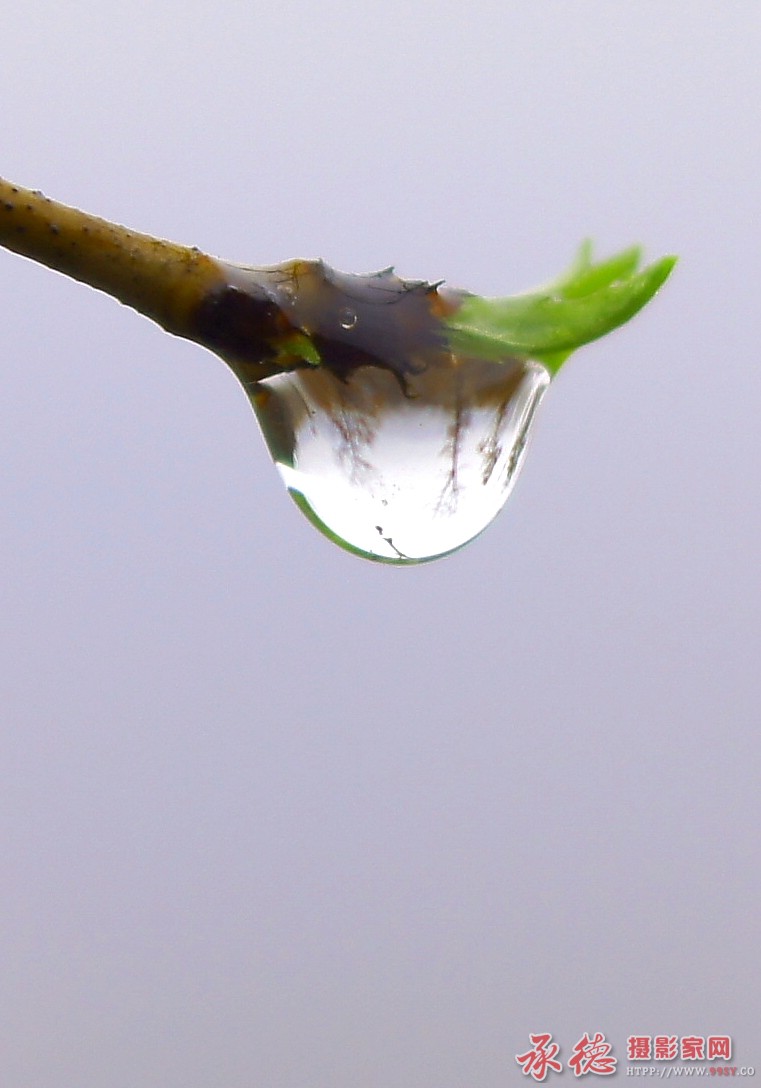 雨滴.JPG