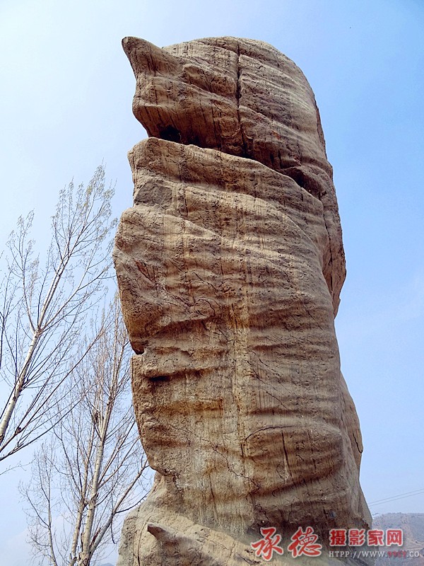 石鸟.jpg