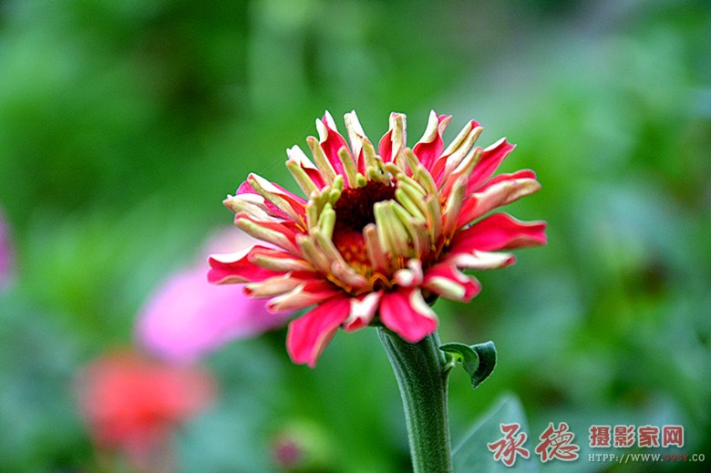 照片 331_副本.jpg