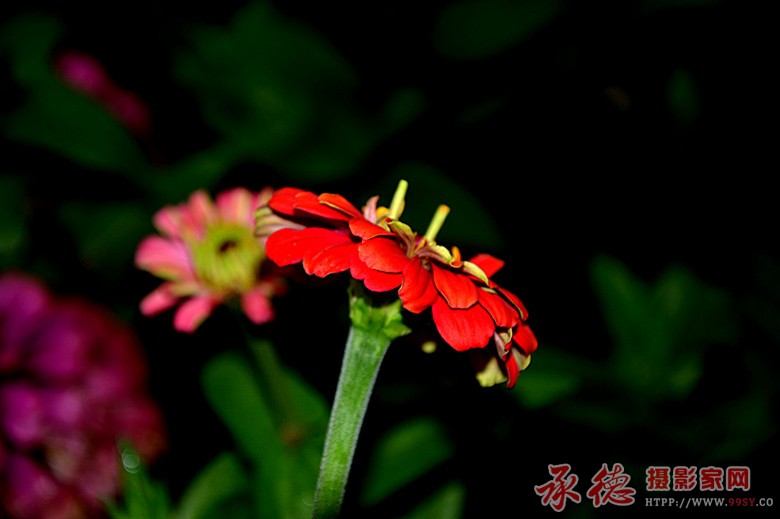 照片 335_副本.jpg