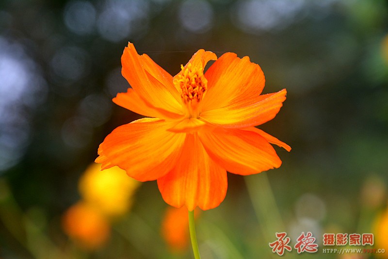 照片 1603_副本.jpg