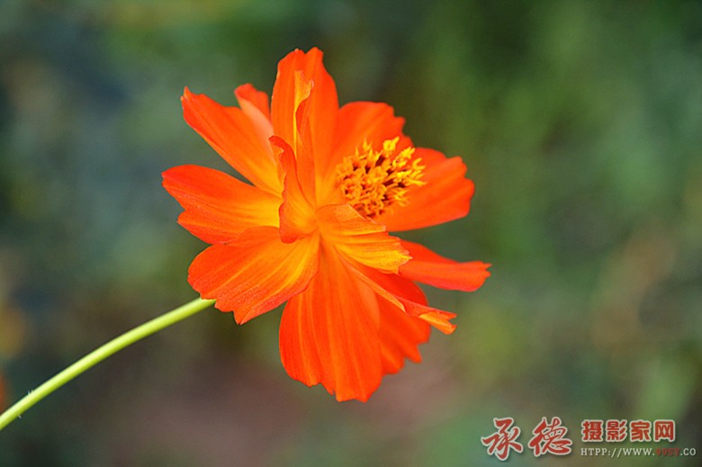 照片 1608_副本.jpg