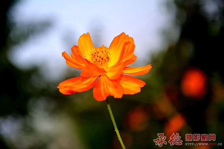 照片 1626_副本.jpg