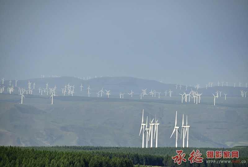 照片 293.jpg