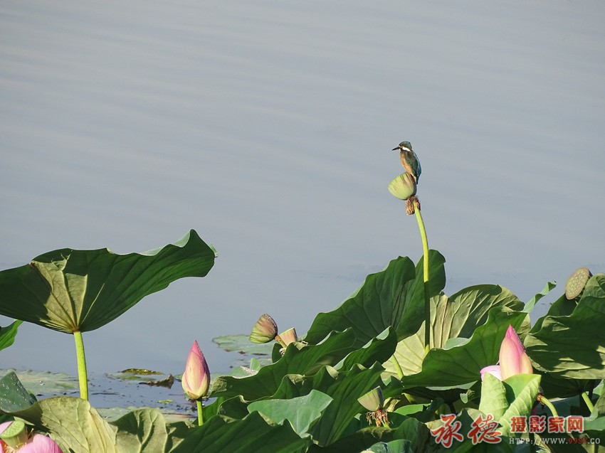 DSC08503_副本.jpg