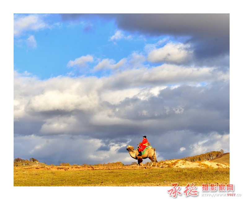 _DSC7316--3--.jpg