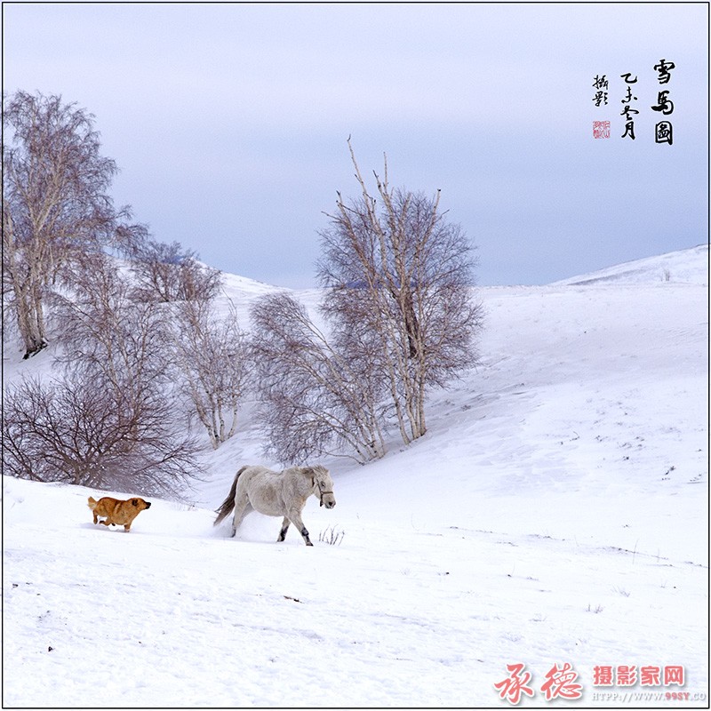 雪马图.jpg