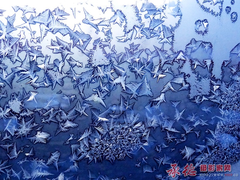 冰花1.jpg