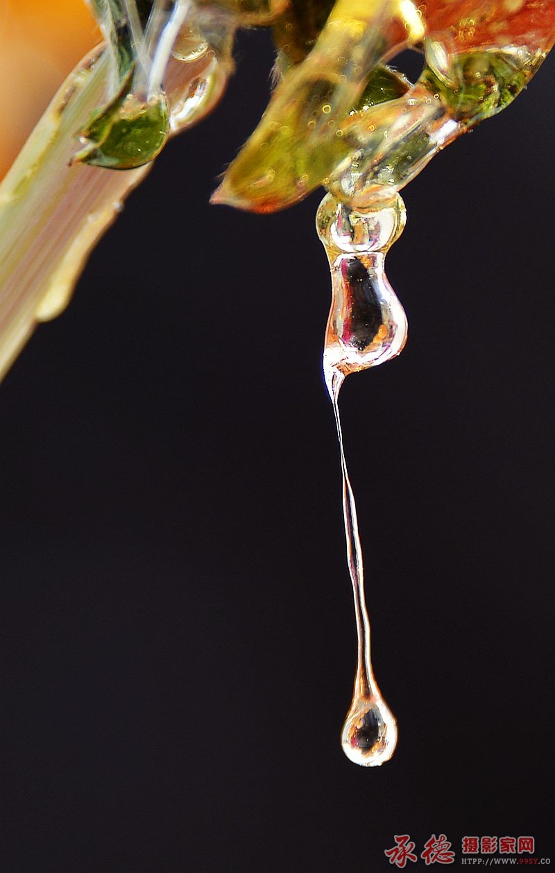_DSC0087_副本.jpg