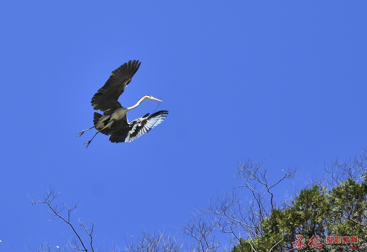 _DSC0497_副本.jpg