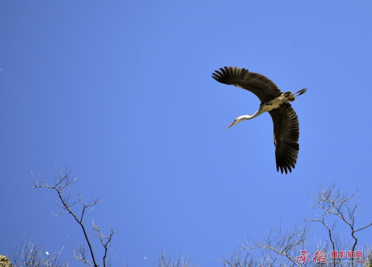 _DSC0691_副本.jpg