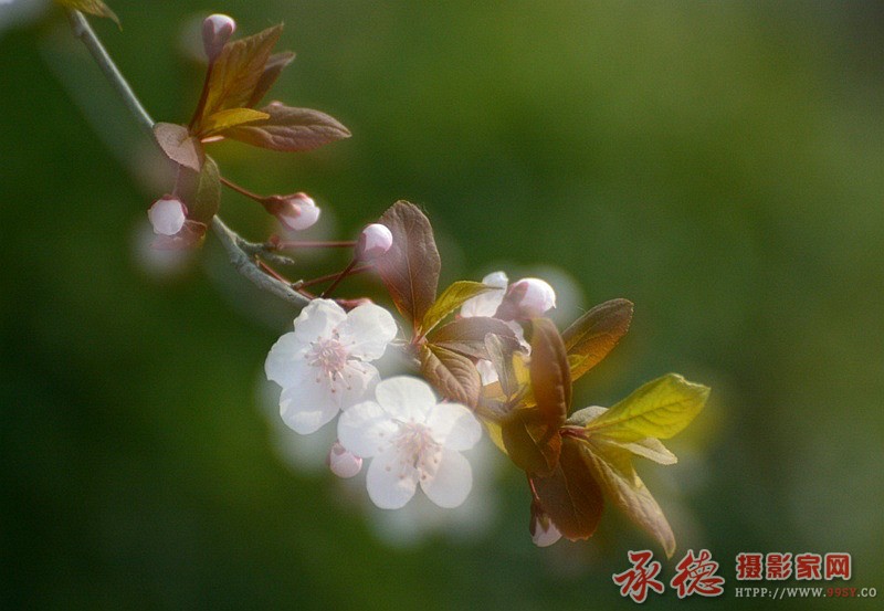 YHS_0425_副本.jpg
