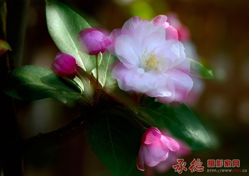 YHS_0915_副本.jpg
