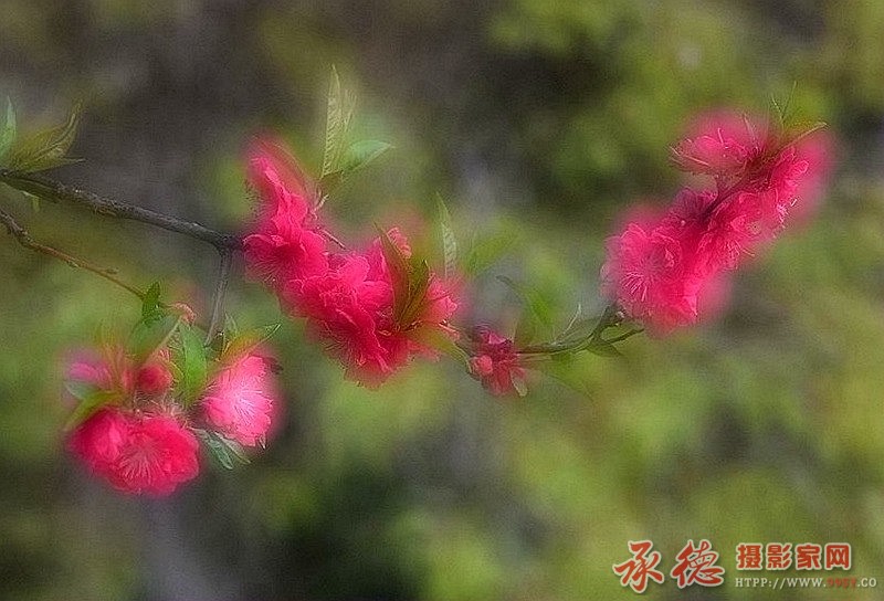 YHS_0944_副本.jpg