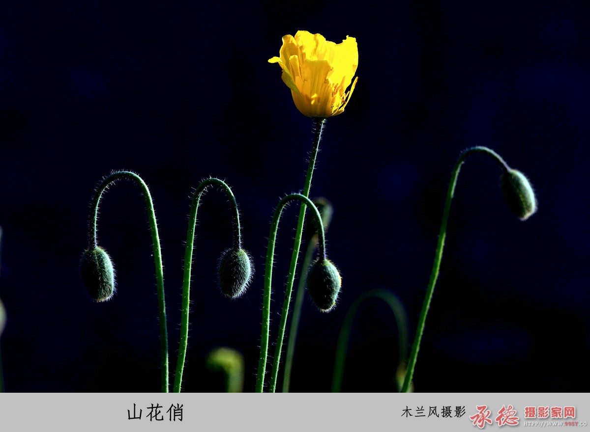 1E3A4849_副本_副本.jpg
