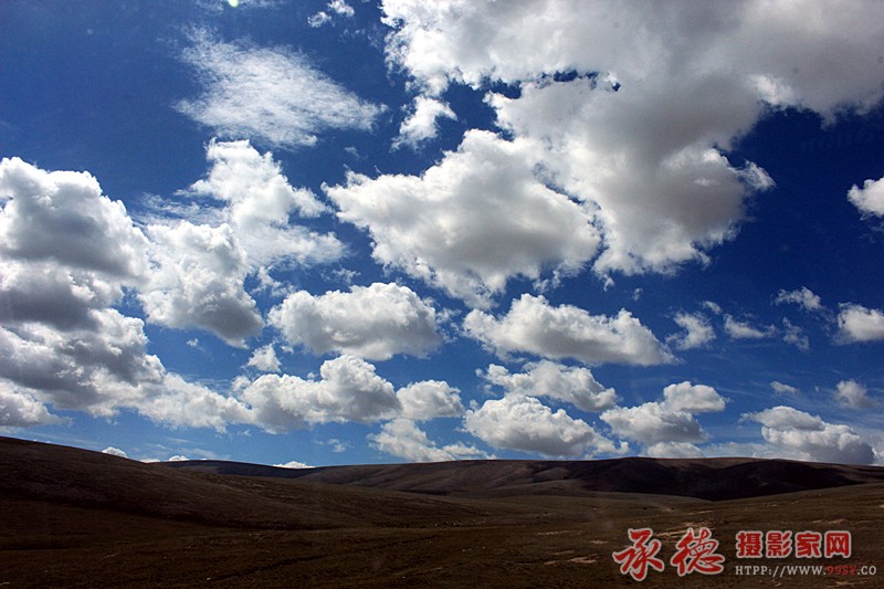 IMG_8656_副本.jpg