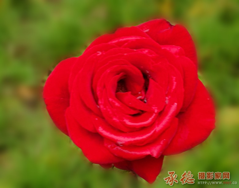 DSC06045_副本.jpg