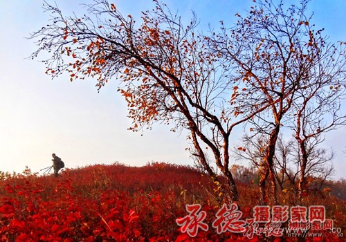 快乐影人深秋_副本.jpg