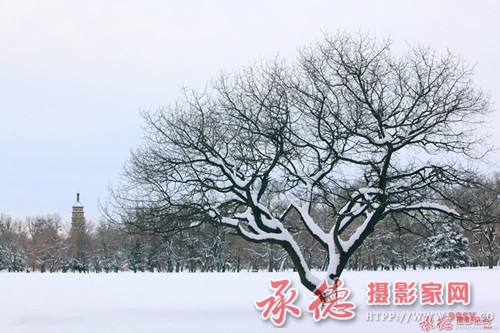 w五支队的兵——冻死迎风站 不弯腰_副本.jpg