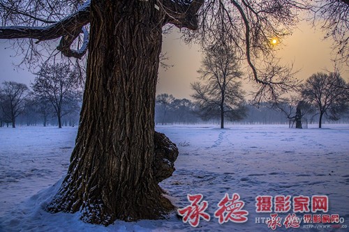 会龙山人-挺且直_副本.jpg